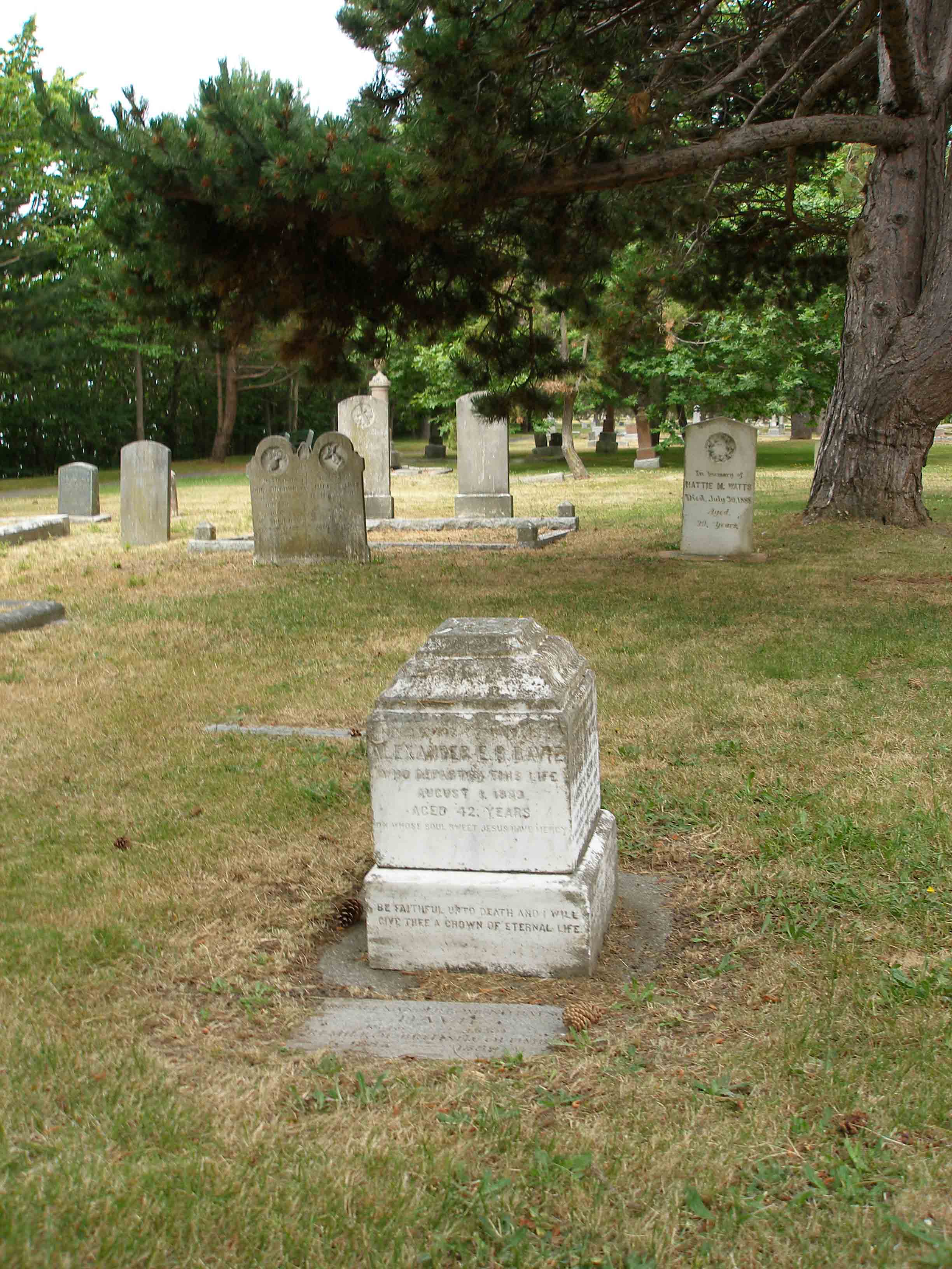 Alexander davie grave-Ross bay Cemetery